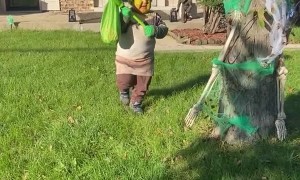 Kid's Cute Halloween Costumes