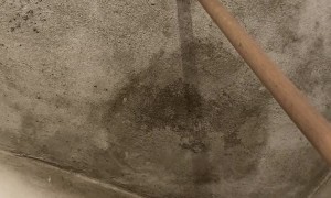 Leaky Ceiling Caves In