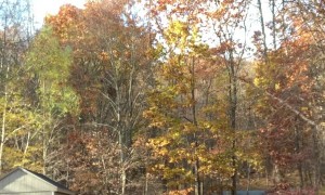 Daughter Doing Dance on Table Falls Through