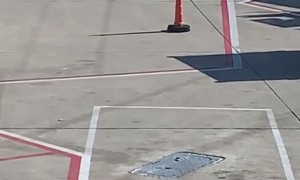 Please Pick Up My Bag