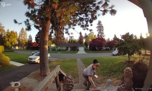 DoorDash Driver Forgets to Put Vehicle in Park