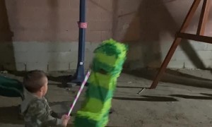 Pinata Gets Revenge on Kid Hitting it