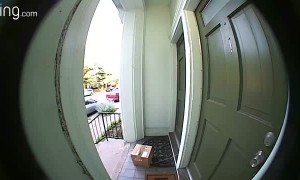 Package Pirate Gets Fooled by Package Trap