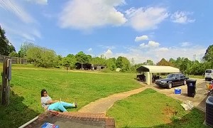 Daughter Trips Climbing Stairs to Front Door