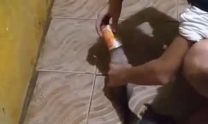 Tiny Kitten Gets Head Stuck in Can