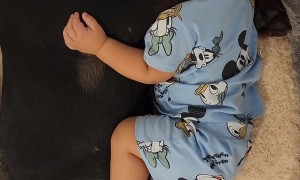 Dog and Baby Nap Together