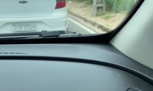 Snake Tries to Hitch a Ride Under Car Hood