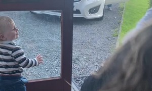 Collie Knocks Sister Coming Through Front Door Over