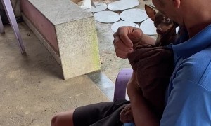 Father Hugging His Wife Makes Dog Jealous