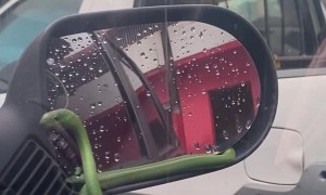 Snake Hanging Out in Car Mirror Goes for a Drive