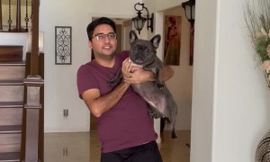 Dog Doesn't Want to Miss Out