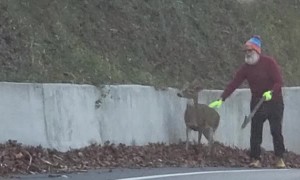 Santa Recruits This Year's Sleigh Team