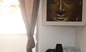 Kitty Grooms Canine Friend