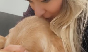 Palmer is NOT a fan of the Vet