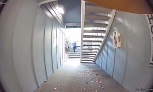 Delivery Drivers Use Different Delivery Methods