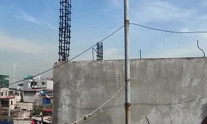 Guys Rescue Stuck Bird