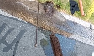 Dirty Drain Gets Unclogged