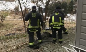 Firefighters use Jaws of Life to help trapped deer