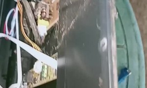 Ants Takeover the Inside of a TV