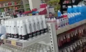 Monkey Makes a Mess in Brazilian Pharmacy