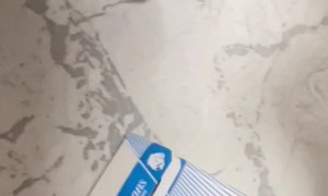 Cat Delivers "Gift" of Cigarettes