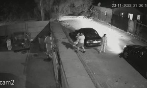 Goliath the Pitbull Defends Property