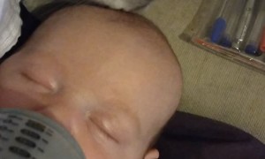 Baby and Bunny Become Best Friends