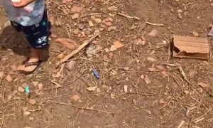 Kiddo Falls and Breaks Two Eggs