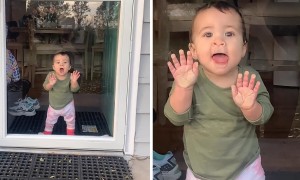 Toddler has precious reaction when mom comes home