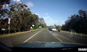 Kind Person Escorts Ducklings Across Street