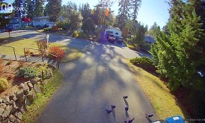 Scaring Crows With a Security Camera