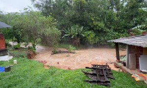 Brick Wall Falls into River