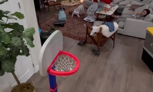 2-Year-Old Son Doing Trick Shots