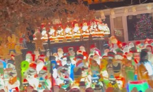 This House Really Loves Christmas Decorations