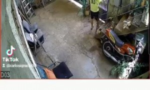 Guy Falls From Top of Stairs While Working on Gate