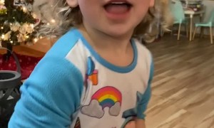 Kindergarten Confessions