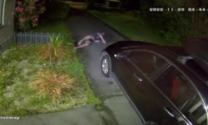 Man Tries to Break Up Cat Fight and Trips on Car