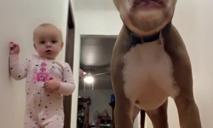 Rollo and Charli are Startled by Funny Filter