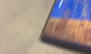 Sam Gets Taken Down by Salt Bag