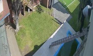 Painter Plummets from the Painting