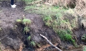 So Close, Yet So Far