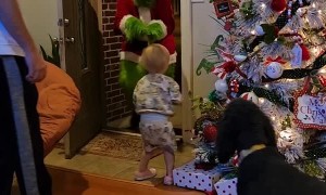 Child Horrified by Grinch Stealing Presents