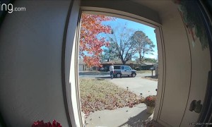 Delivery Driver Bonks Head on Rear Hatch Door