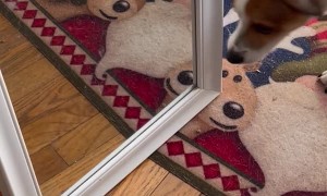 Finally, a Worthy Opponent