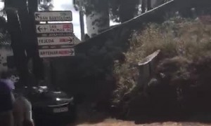 Donkey Runs off With Girl on Back