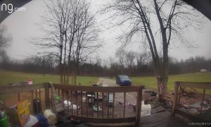 Girl Slips Down Steps