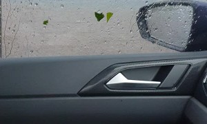 Escape of The Trash Cans