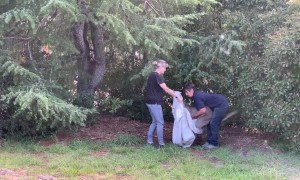 Kicking Kangaroo Rescue