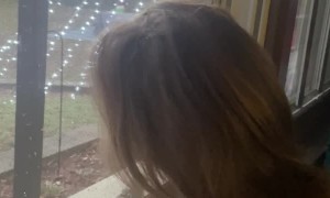 Little Girl Spots the Grinch Outside