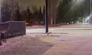 Police Appear to Pursue Snowmobiler